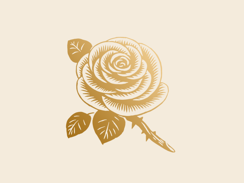 Nước tẩy trang Hoa Hồng